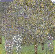 Gustav Klimt Rose Bushes Under the Trees oil painting
